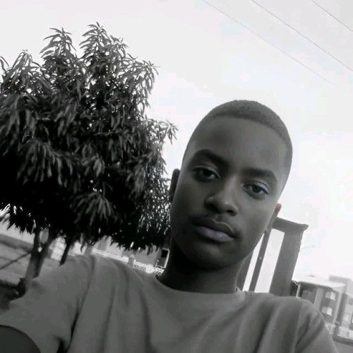 Victor  N. profile photo