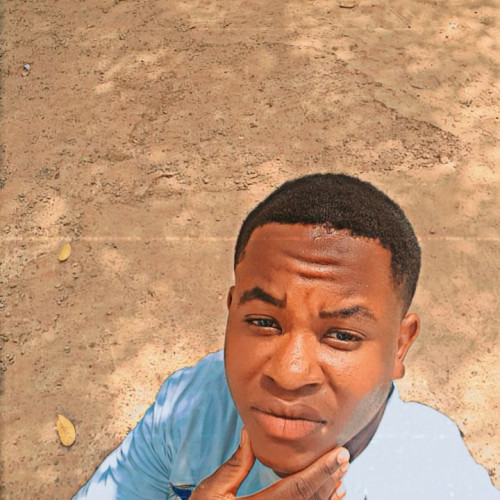Emeka A. profile photo