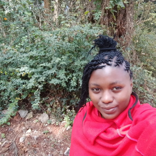 Ann W. profile photo