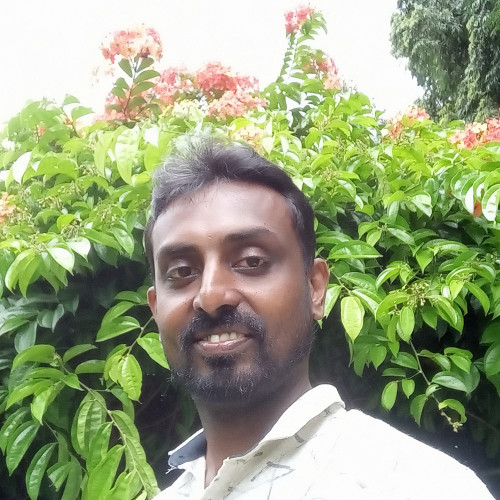 Sanjaya  P. profile photo
