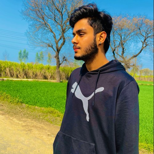 Aryan r.