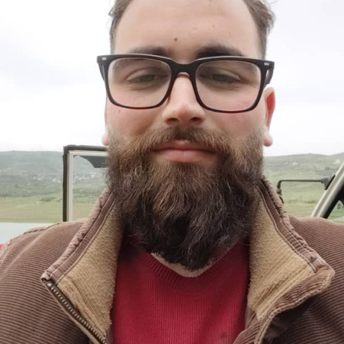 Ali K. profile photo