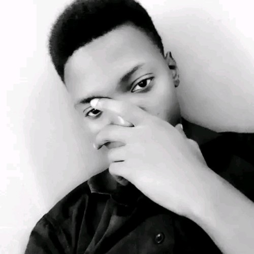 Damilare L.