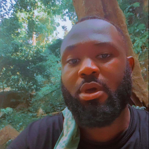 obinna n. profile photo