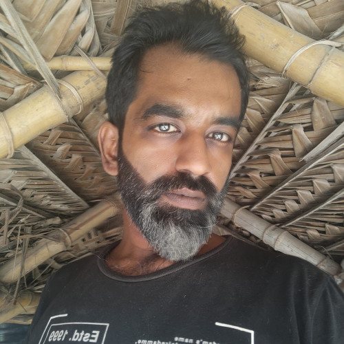 Rahul P. profile photo