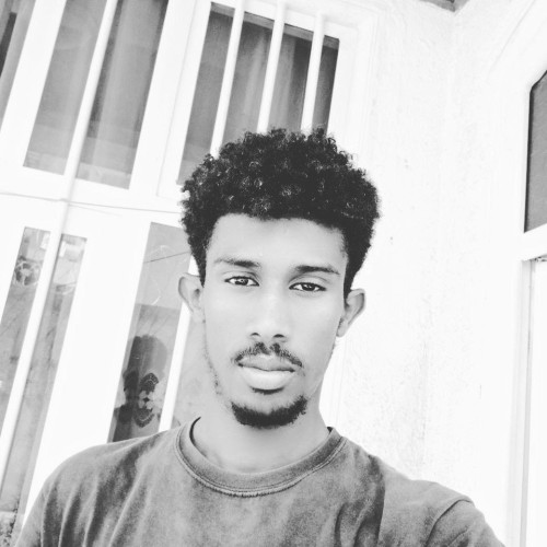 Dawit D. profile photo