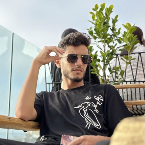 Badreddine S. profile photo