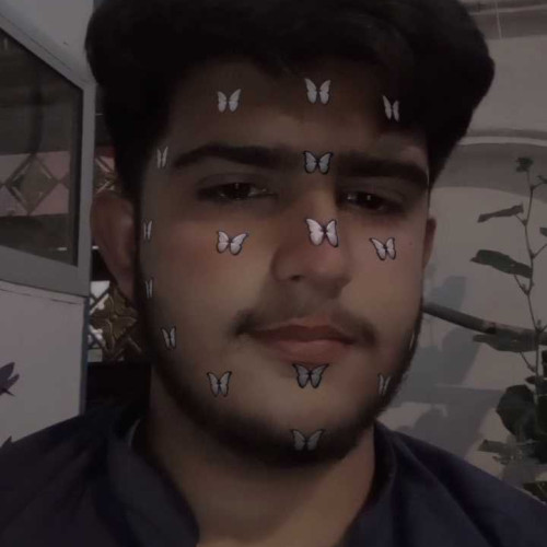 Muhammed F. profile photo
