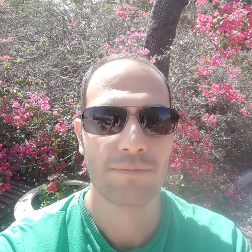 Hamed A.