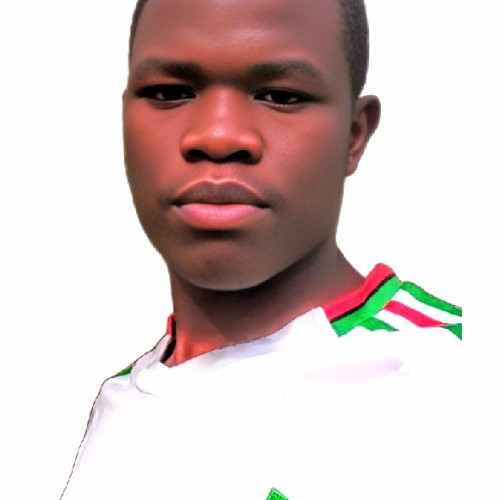 Alfred N. profile photo
