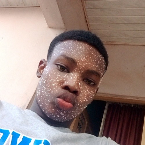Kelvin S. profile photo