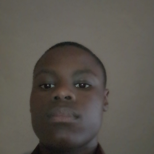Olusegun T. profile photo