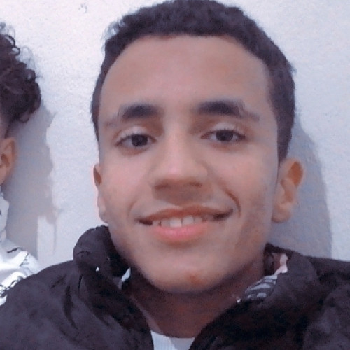 Hamza B. profile photo