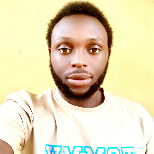 Ayodeji O. profile photo