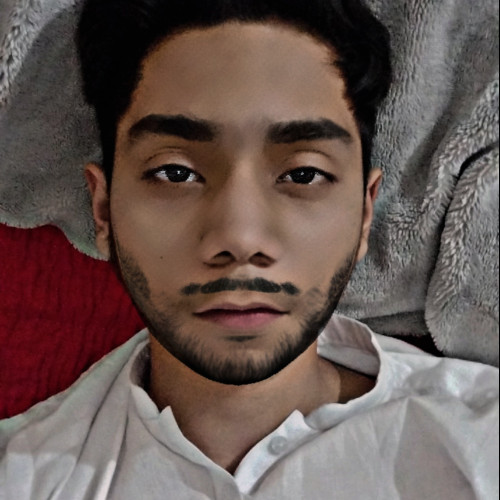 Syed Mohammad T. profile photo