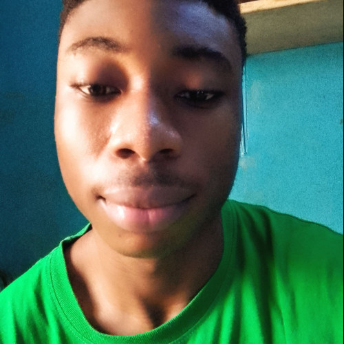 Ndubuisi  E. profile photo