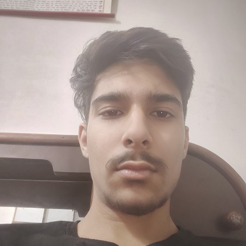 Mayank G.