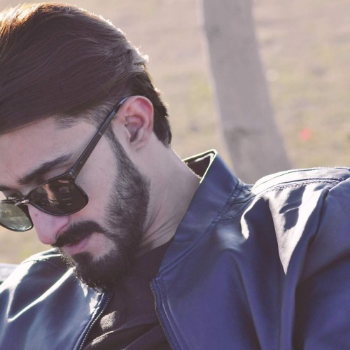 Fazi D.