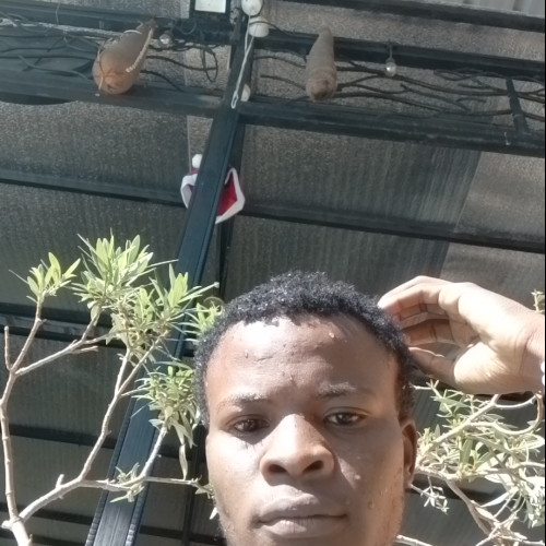 Vincent O. profile photo