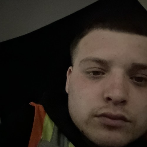 Darian B. profile photo