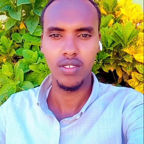 Abdulahi M.