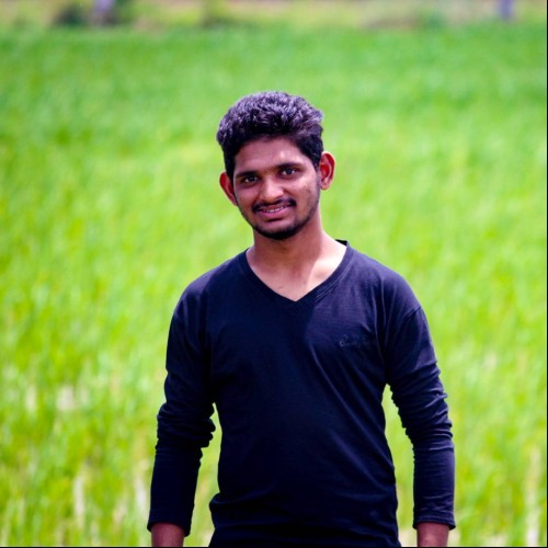 Dinesh V.