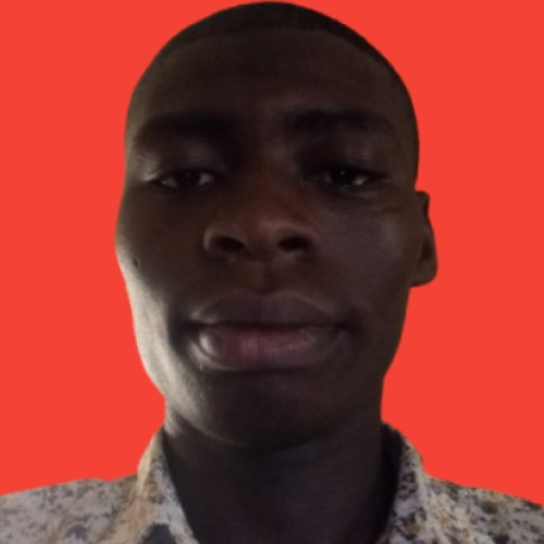 Abdulgafar  I. profile photo