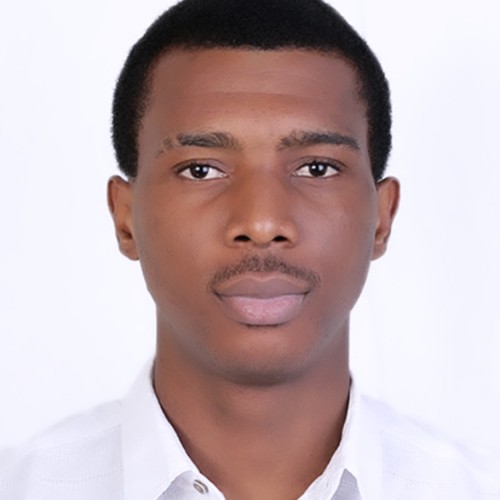 Chidiebere  O. profile photo