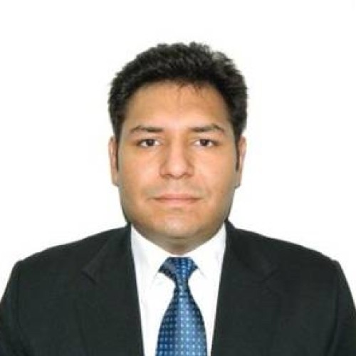 Vikas G.