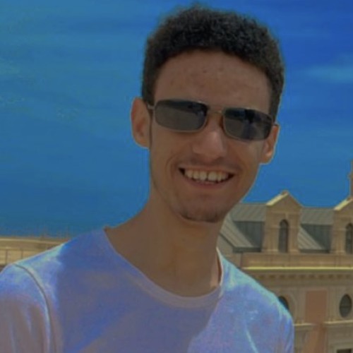 Walid H.