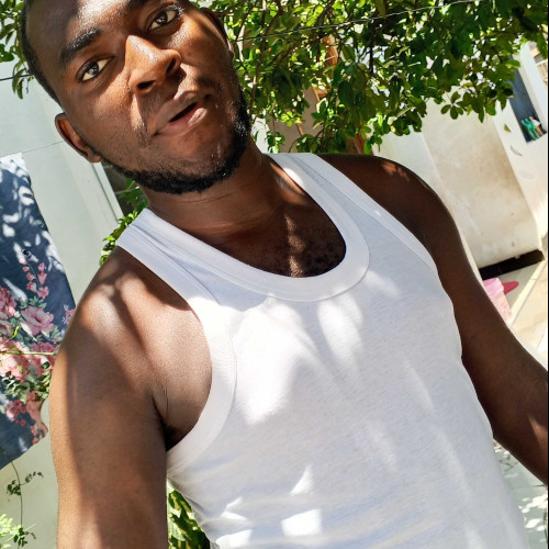 Cms M. profile photo