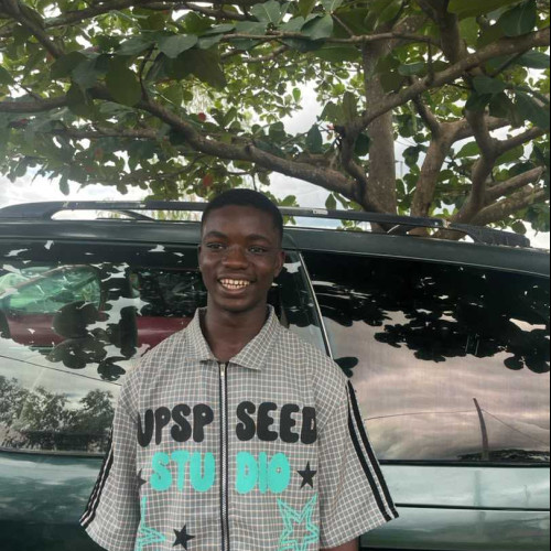 Emmanuel N. profile photo