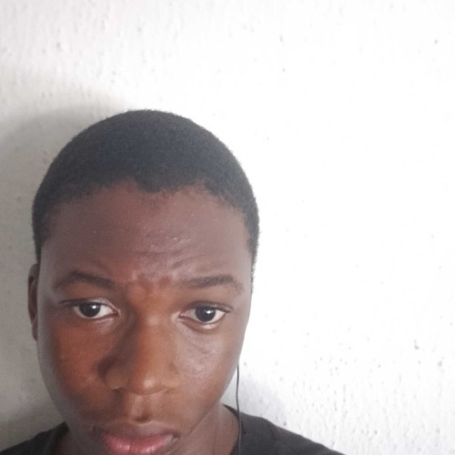 Martin C. profile photo