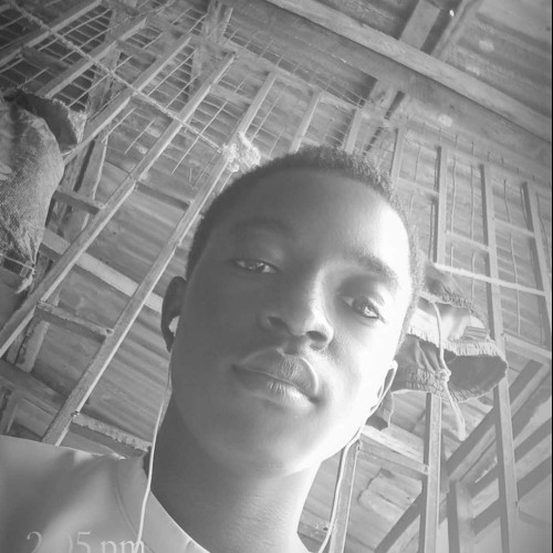 Wisdom M.