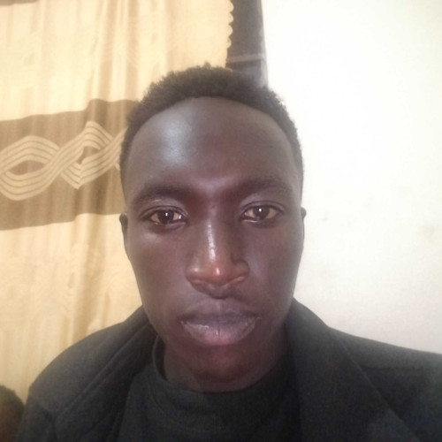 Lennox T. profile photo