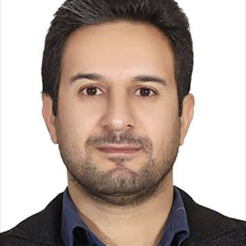 Majid M. profile photo