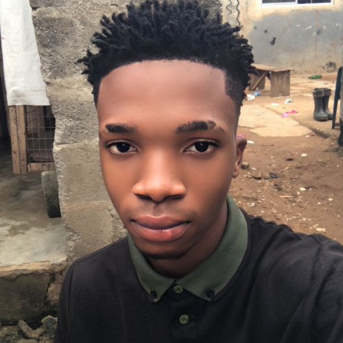 Godwin S. profile photo