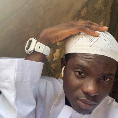 OLANREWAJU T. profile photo