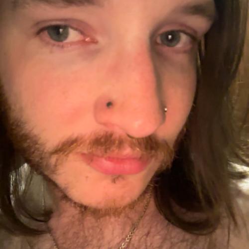 Martin F. profile photo