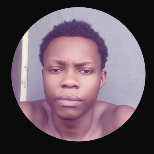 Abidemi A. profile photo