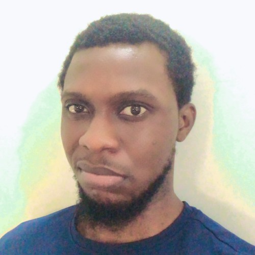 Chinedu A. profile photo