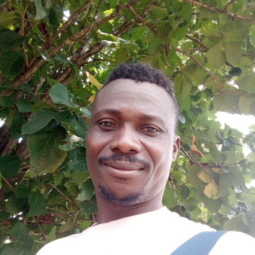 Sylvester O. profile photo