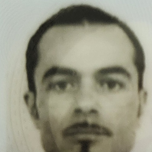 Traian M. profile photo