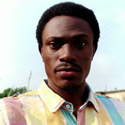 Iyanuoluwa O. profile photo