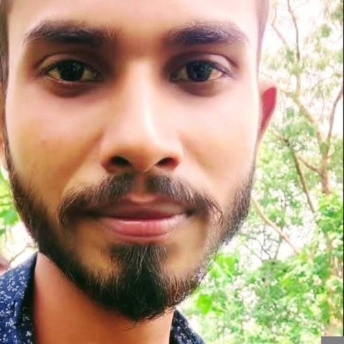 ANKUSH P.