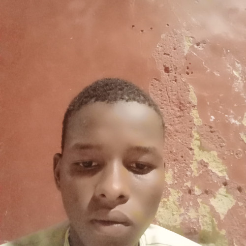 Ibrahim Ibrahim  S. profile photo