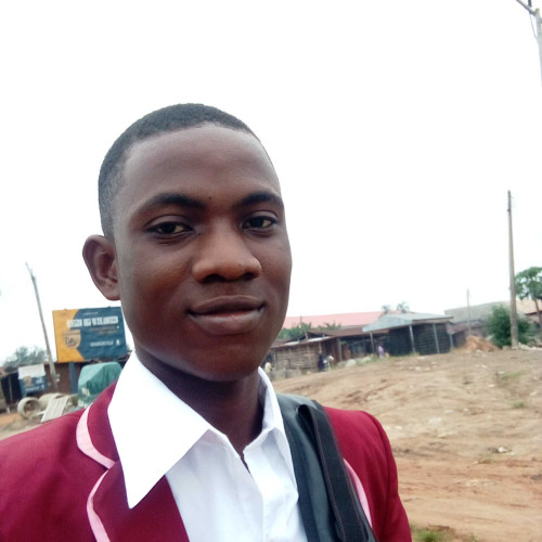 olarewaju S. profile photo
