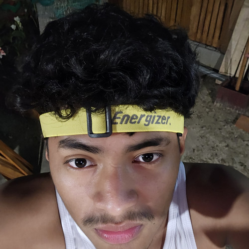ELSIDES A.