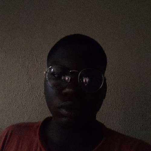 Oluwatobiloba  O. profile photo