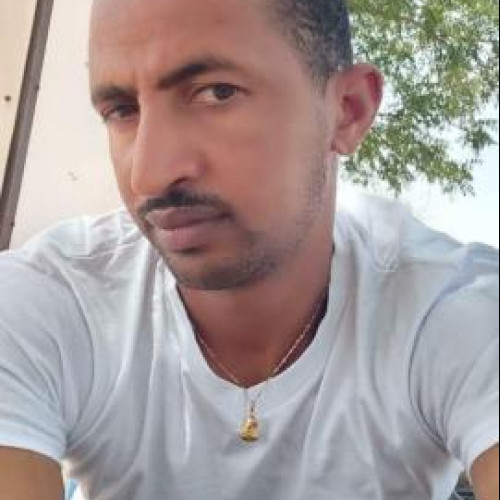 Bereket  T. profile photo